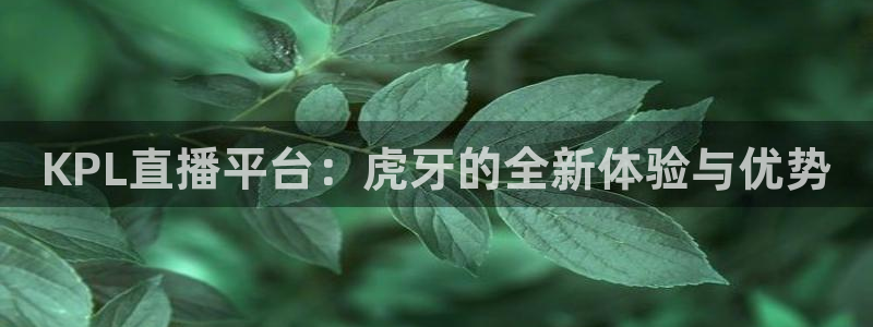 蓝鲸鱼直播