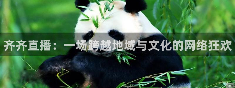 蓝鲸体育在线观看