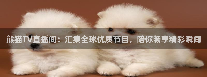 蓝鲸体育直播：熊猫TV直播间：汇集全球优质节目，陪你畅享精彩瞬间
