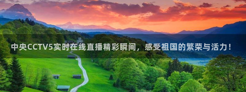 蓝鲸鱼直播：中央CCTV5实时在线直播精彩瞬间，感受祖国的繁荣与活力！
