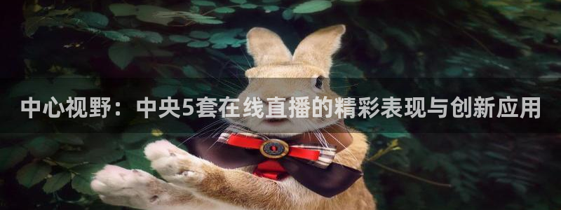 蓝鲸体育直播在线观看免费：中心视野：中央5套在线直播的精彩表现与创新应用