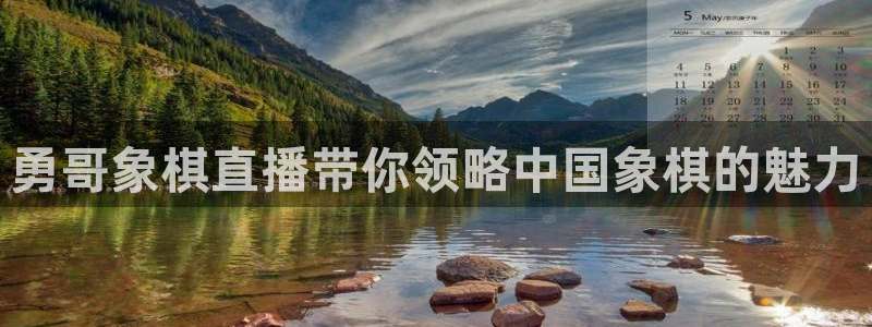 大蓝鲸直播间：勇哥象棋直播带你领略中国象棋的魅力
